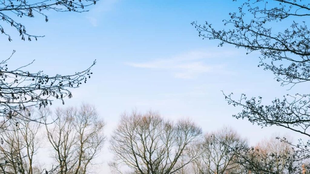 Top 10 LinkedIn Influencers para colaborar en Netherlands