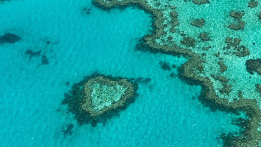 Tarifa 2025 publicidad en Twitter Portugal para Argentina