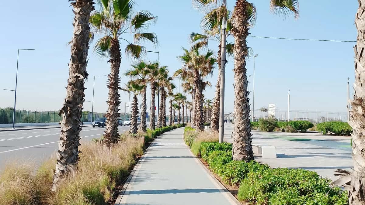 Brands argentinas buscando creadores de Bahrain para challenges virales