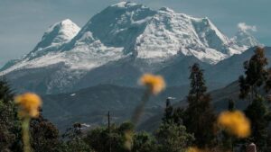 Guia practica para creadores argentinos que quieren contactar marcas de Myanmar en Lazada y montar crosspromos efectivos, con pasos operativos, plantillas y riesgos.