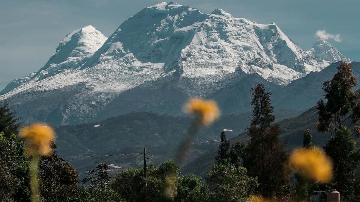 Creadores argentinos: cómo conectar con marcas birmanas en Lazada y lograr cross‑promo