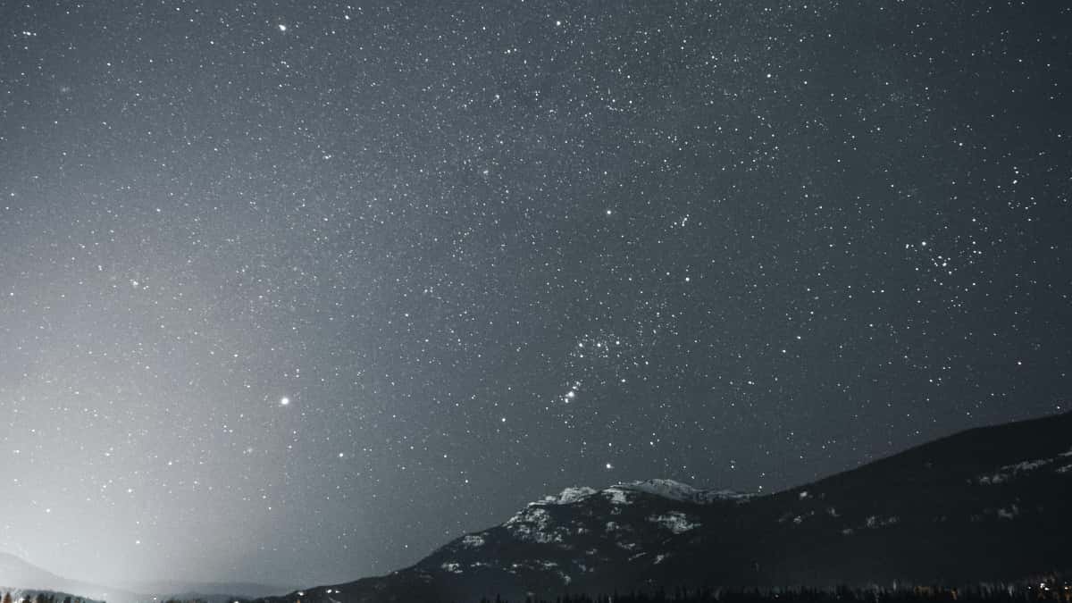 Marcas argentinas: encontrar creadores Austria Josh para wellness