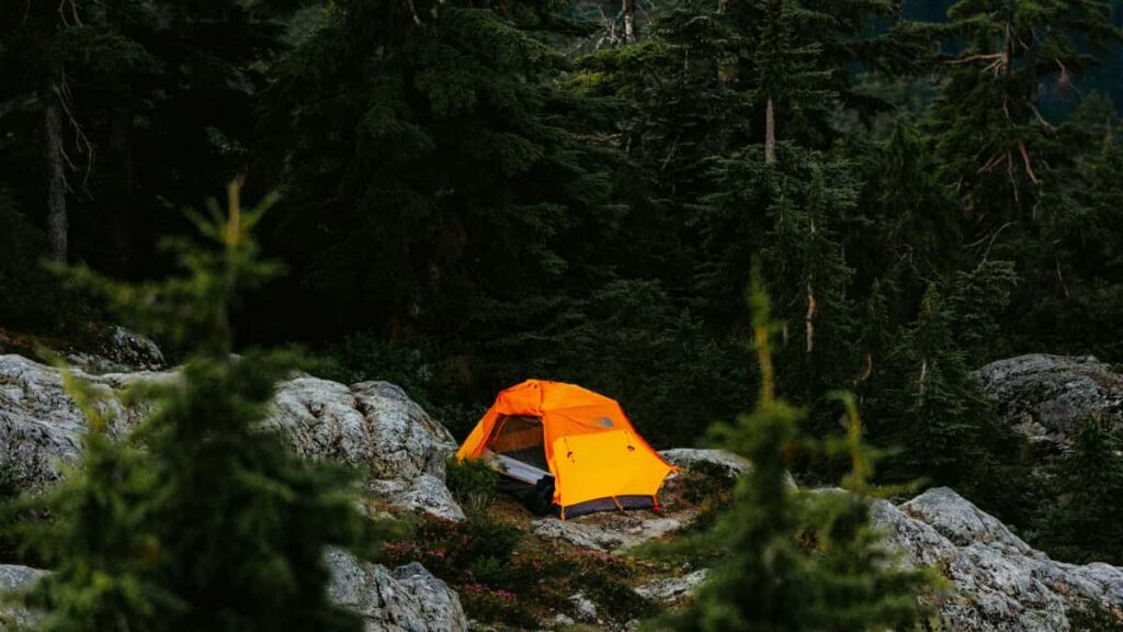 Guia practica para creadores argentinos: como encontrar, pitchar y crear contenido localizado para marcas ecuatorianas en Threads en 2025.