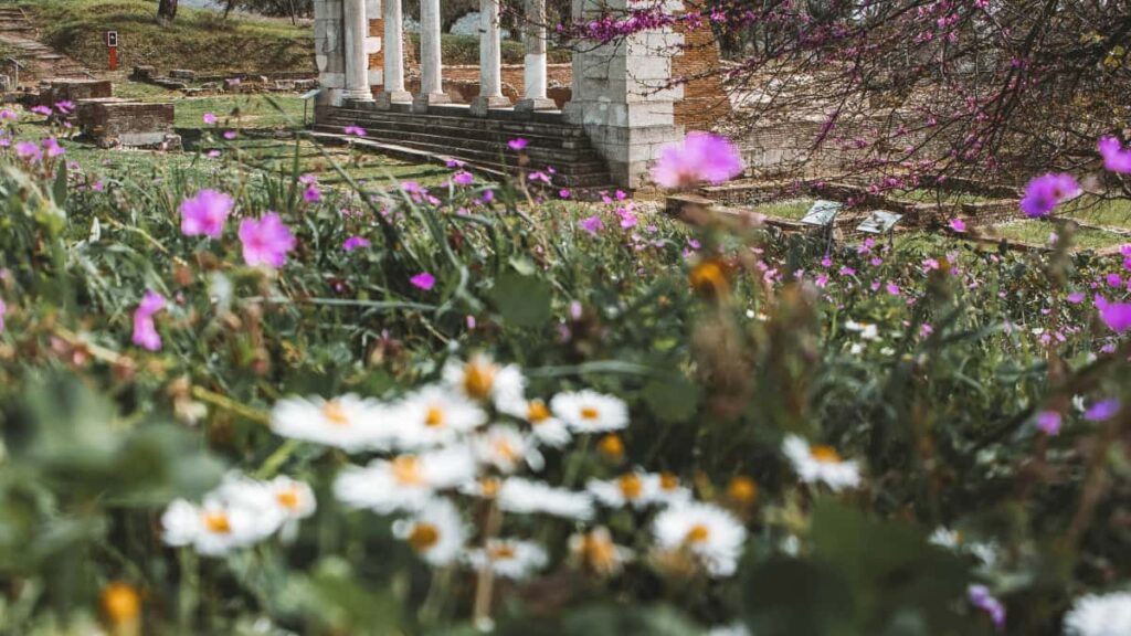 Guia practica para anunciantes argentinos: como localizar y patrocinar creadores argelinos en Apple Music para contenido detras de camaras (BTS), con tacticas, plataformas y riesgos.