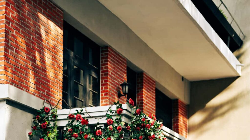 Guia practica para creadores argentinos: como encontrar, pitchar y grabar contenido detras de camaras con marcas uruguayas via Zalo, con seguridad y ejemplos reales.