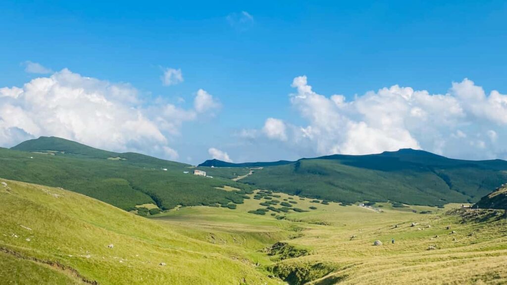 Guia practica para marcas argentinas: como identificar, evaluar y activar creadores portugueses en Pinterest para campanas estacionales y promos puntuales.