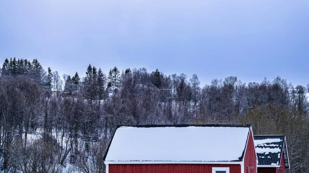 Guia practica para agencias y operadores argentinos: como localizar y contratar creadores en Spotify de Malta para promocionar tours locales, con tacticas, herramientas y ejemplos reales.