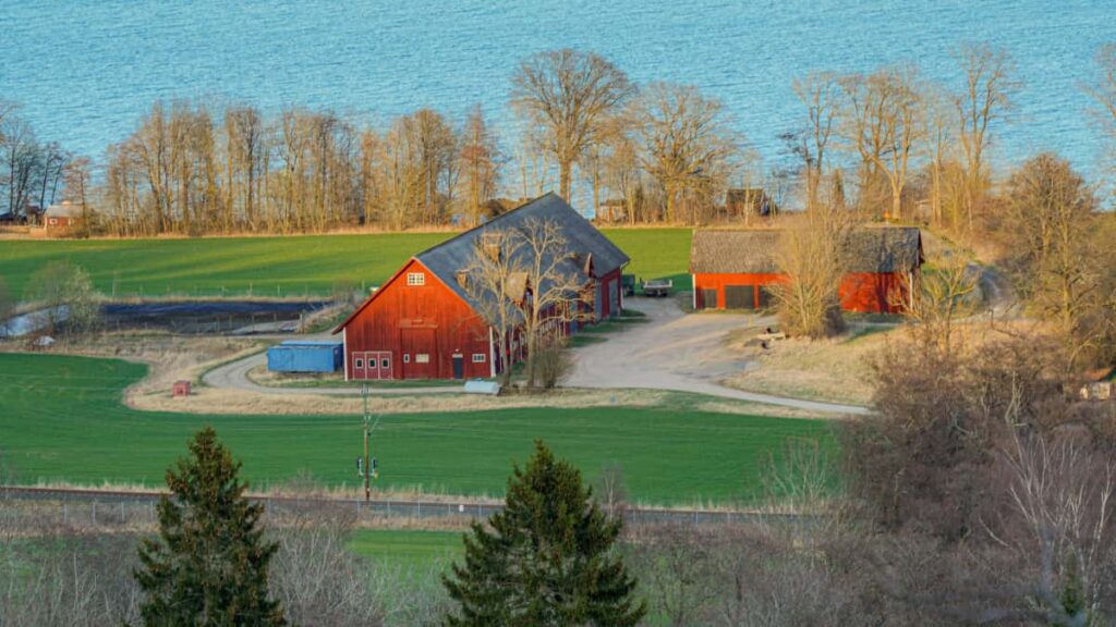 Guia practica para creadores argentinos que quieren contactar marcas tunecinas en Threads, con tacticas, ejemplos y estrategia local para ganar visibilidad.