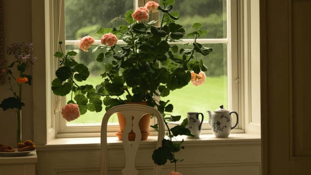 Como identificar y contratar creadores de la Republica Checa en LinkedIn para promocionar rutinas de bienestar. Estrategia practica, riesgos y lista de pasos concretos para anunciantes desde Argentina.