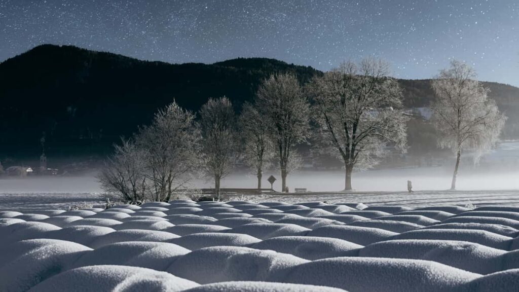 Guia practica para creadores en Argentina: estrategia, canales y pitch listo para llegar a marcas bolivianas en Spotify y grabar unboxings y testimonios que cierren negocios.