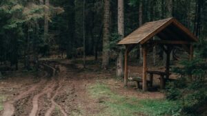 Guia practica para creadores argentinos que quieren colaborar con marcas israelies vendiendo en Amazon: tacticas reales, mensajes, riesgos y pasos para cerrar giveaways.