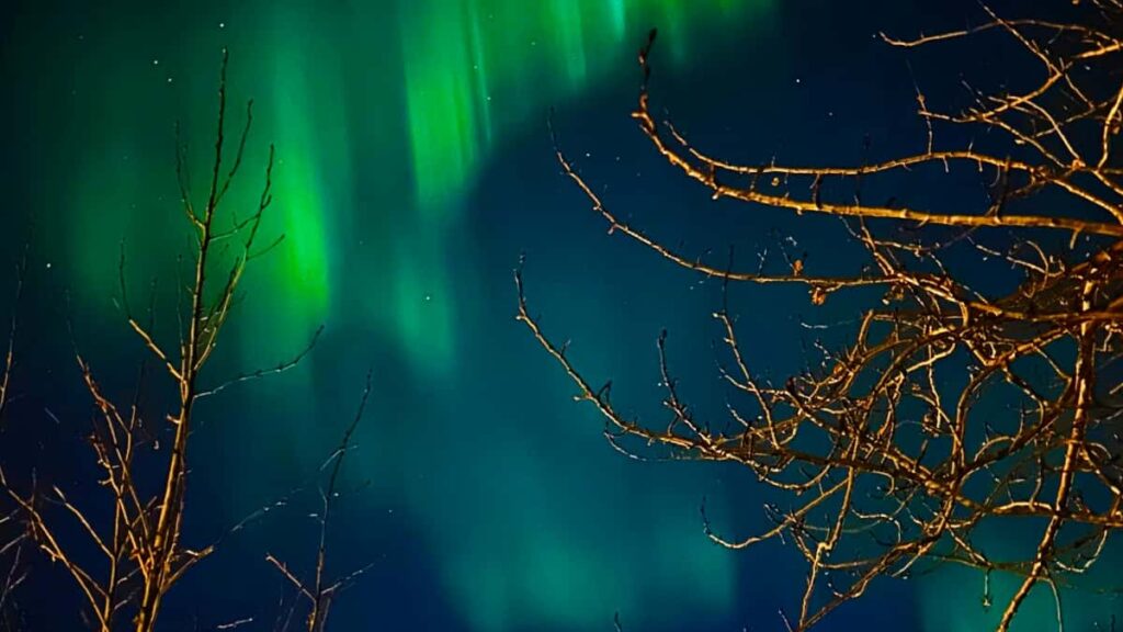 Guia practica para anunciantes en Argentina: como identificar y activar creators saudies en Xiaohongshu para escalar awareness global, con tacticas, riesgos y ejemplos reales.