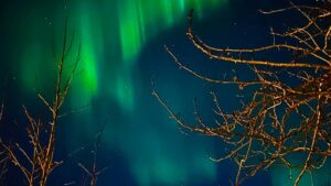 Guia practica para anunciantes en Argentina: como identificar y activar creators saudies en Xiaohongshu para escalar awareness global, con tacticas, riesgos y ejemplos reales.