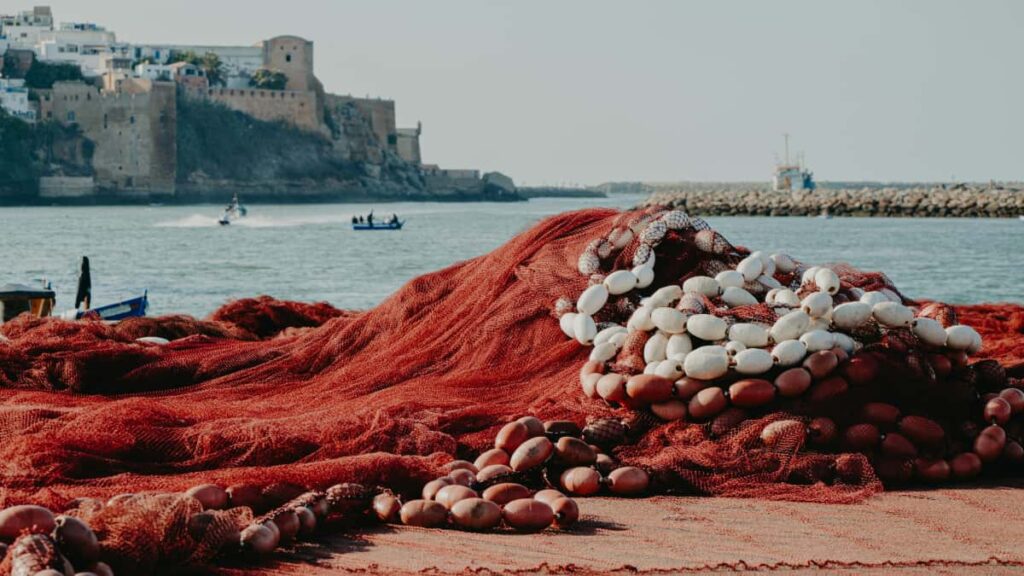 Guia practica para creadores argentinos: como contactar y atraer marcas de Colombia en Discord, paso a paso, con tacticas, metricas y ejemplos locales.