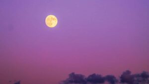 Guia practica para creadores argentinos que quieren alcanzar marcas hungaras en vkontakte (VK): tacticas, scripts, errores comunes y ejemplos basados en tendencias 2026.