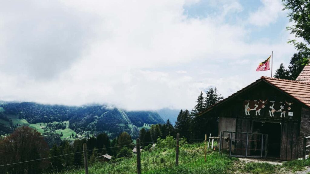 Estrategia practica para marcas argentinas: como localizar creadores de Douyin en Tunez y convertir hype en ventas flash con tacticas de fandom, lives y micro-influencers.