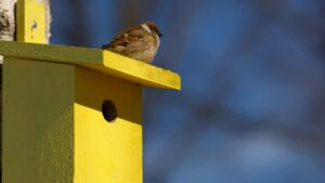 Estrategias practicas desde Argentina para identificar y activar creadoras de Mexico en Instagram que impulsen awareness en lanzamientos de belleza en 2026.