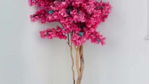 Estrategias practicas para encontrar creadores Myanmar en Discord y asociarlos con microinfluencers desde Argentina.