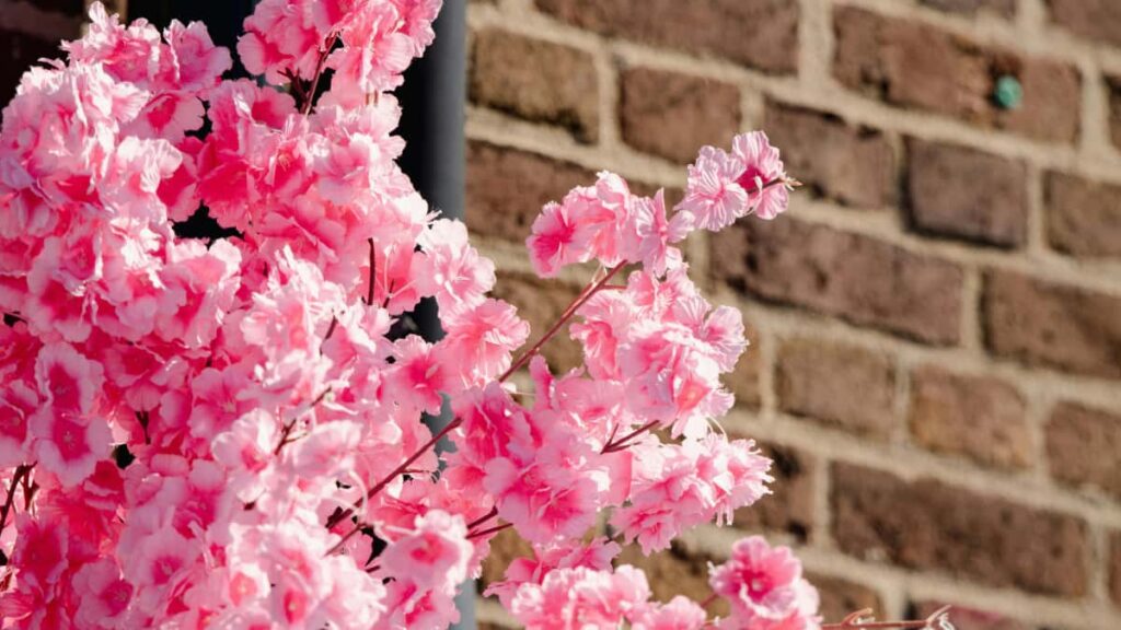 Guia practica para anunciantes argentinos: como identificar y activar creadores Qatar Line que promocionen rutinas de bienestar, con tacticas, herramientas y ejemplos del mercado 2026.