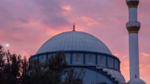 Guia practica para creadores argentinos que buscan contactar marcas de Tunez en Threads y sumarse a programas de micro-seeding: tacticas, mensajes, ejemplos y recursos utiles.